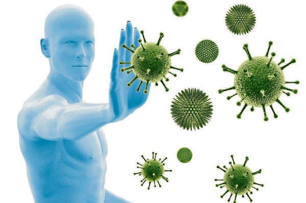 Das ewige Virus 