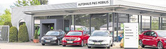 Škoda Profis in Neuhäusel