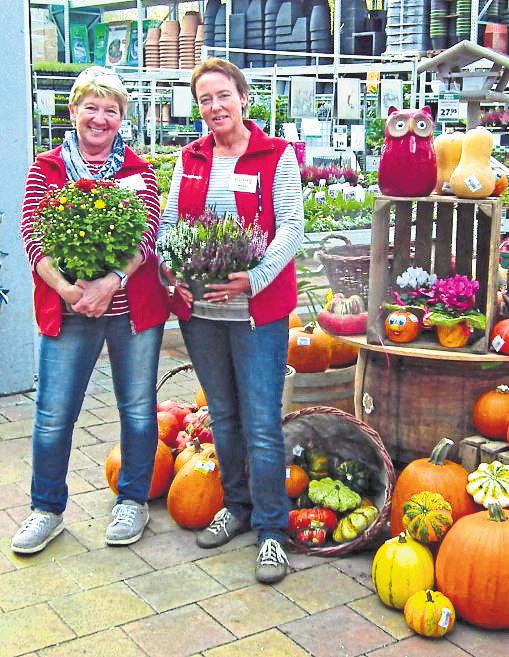 „Herbstzauber-Aktionen“ im röhrig-Erlebnismarkt