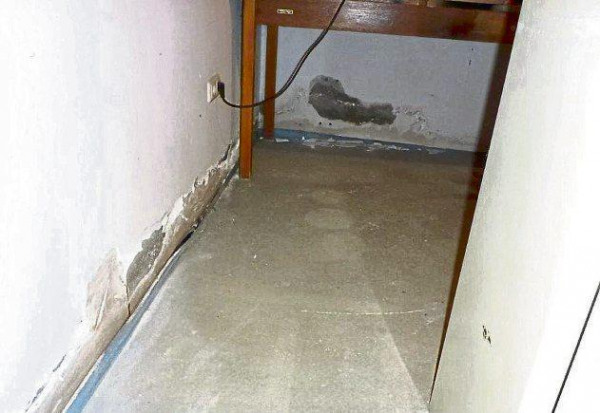 Bauschäden im Fokus