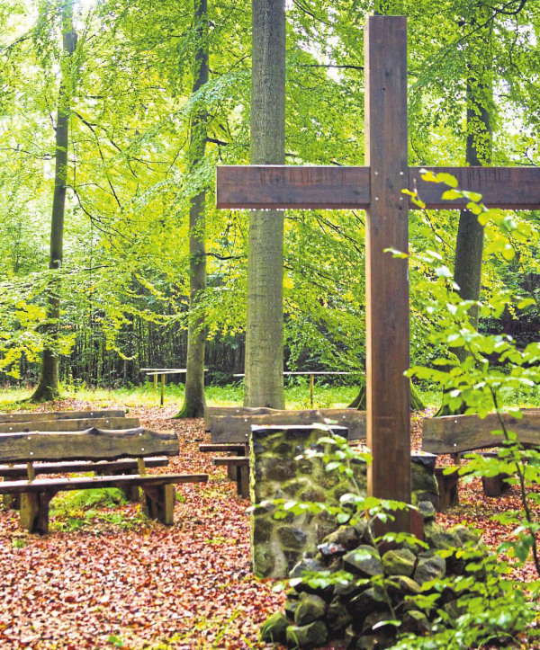 Trost im Wald finden