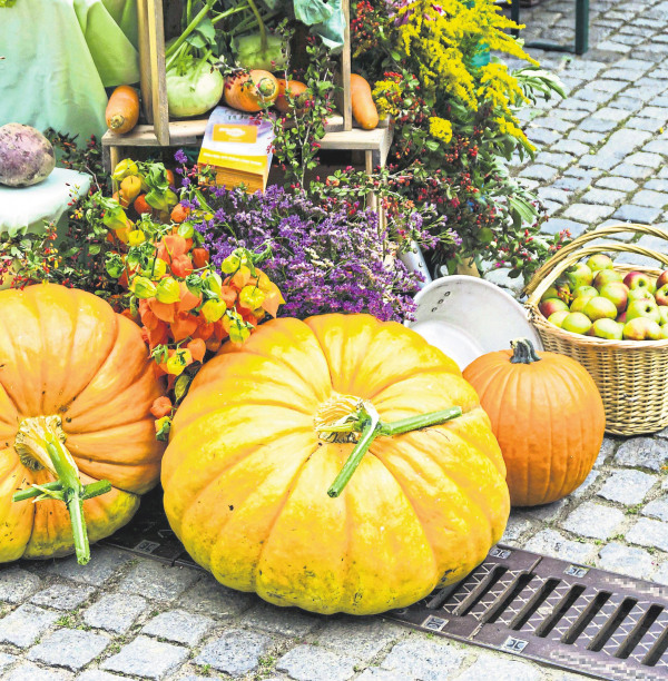 Grußwort zum Herbstfest