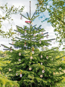Aus der Region - und aus nachhaltiger Erzeugung