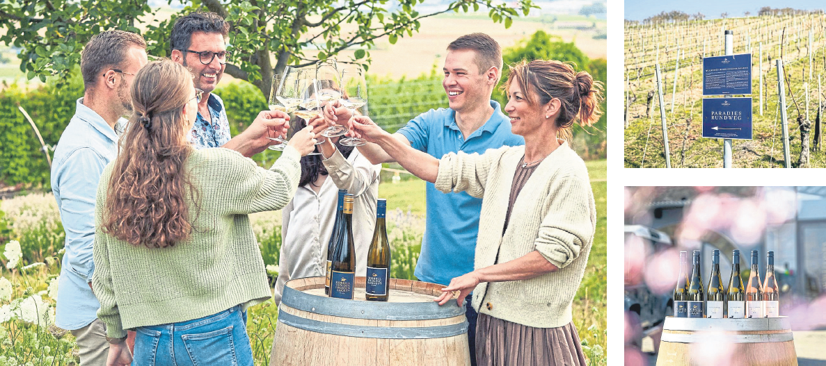 Weingut Korrell: Nachhaltig, bio-zertifiziert und tiefgründig im Geschmack