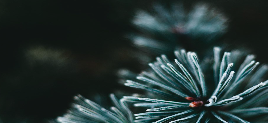 Das Theater Koblenz lädt zum Weihnachtskonzert