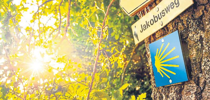 Abschied in Bewegung