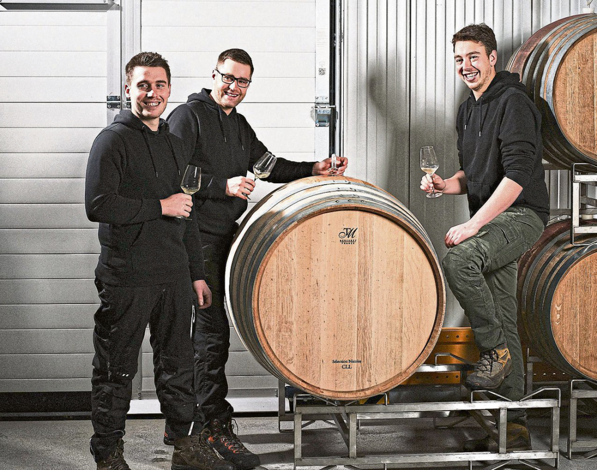 Die neue Generation im Weinbau zeigt ihre Handschrift