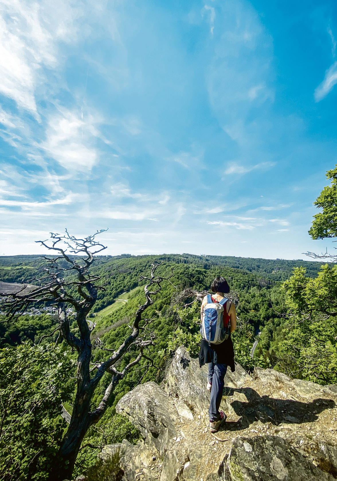 Region Lahn-Taunus: WanderREICH