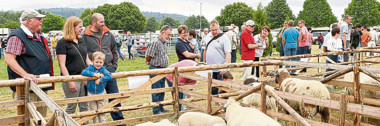 Der Veitsrodter Prämienmarkt erwartet ein volles Haus