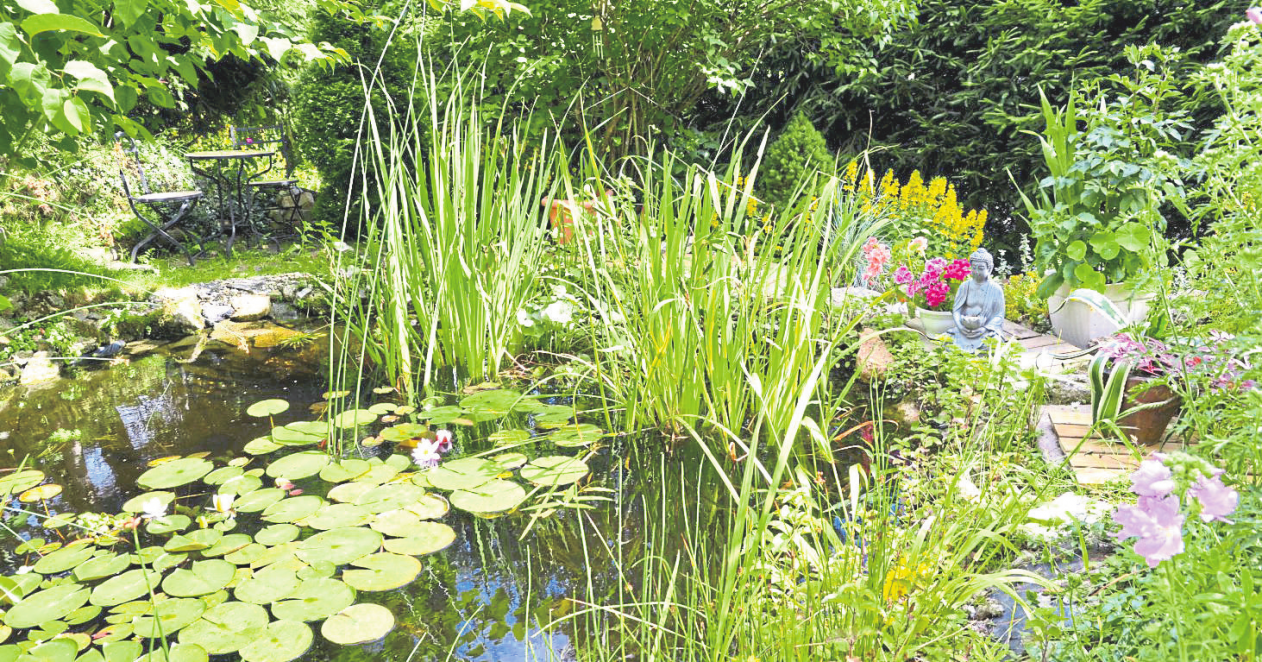 Garten- und Landschaftsbau Klaus Schäfer in Rengsdorf: Rundumservice für den Garten- und Landschaftsbau