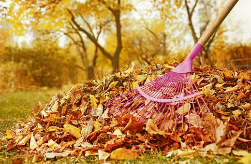 HERBST – MEHR GRÜN- UND BIOABFÄLLE ZU ENTSORGEN