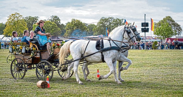 Veitsrodter Herbstmarkt: Traditionelles Kutschentreffen