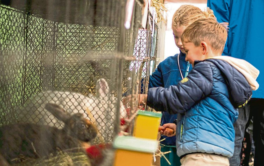 Kleine Tiere, großes Staunen