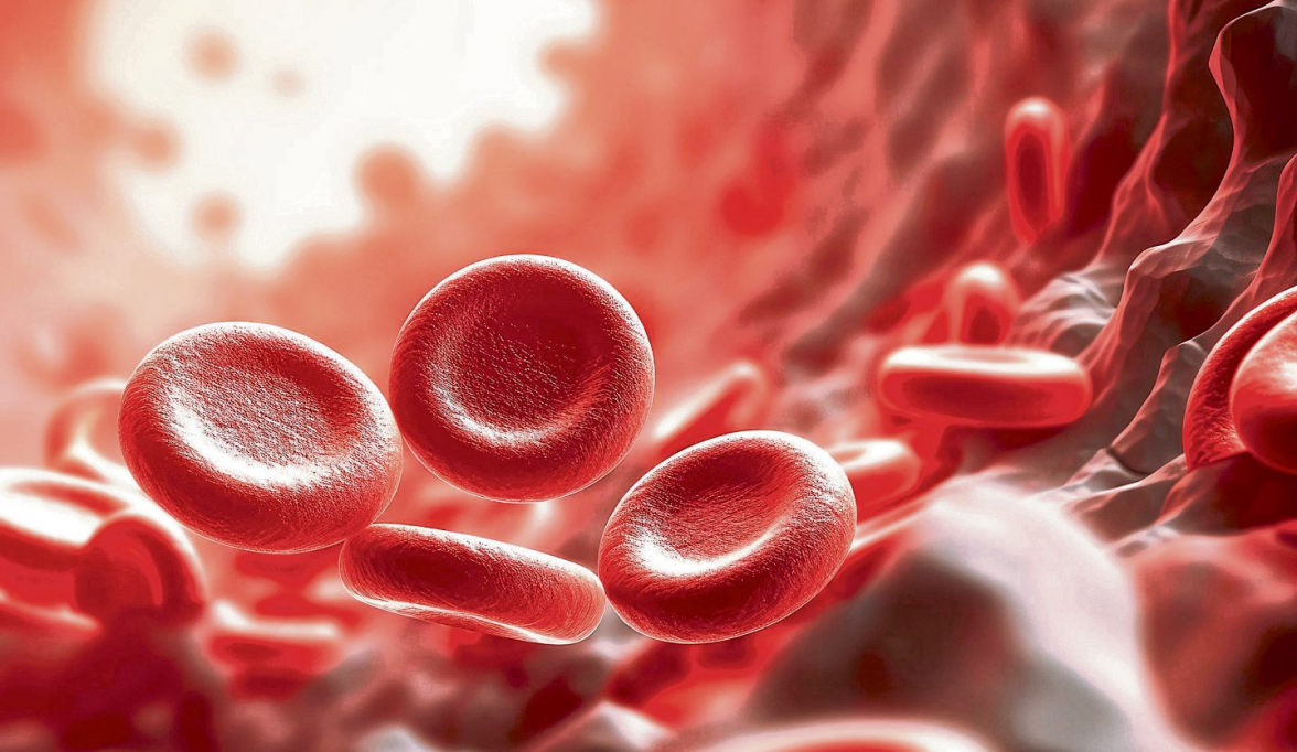 Anämie: Wenn der Körper zu wenig Blut produziert