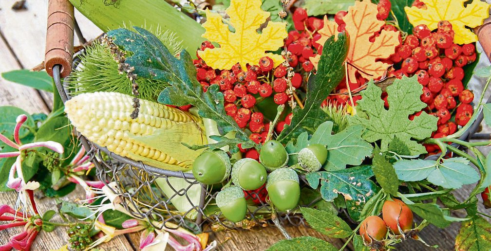 Herbstliches DIY