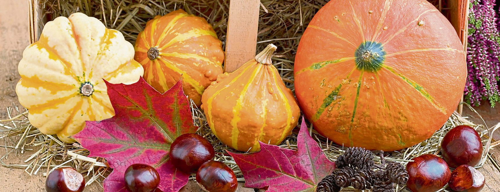Dekotipps im Herbst: Kürbis, Kugeln und Kastanien