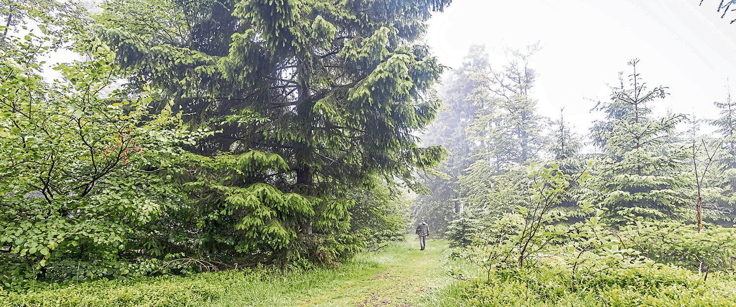 Reisen in Birkenfeld: Entdecken Sie das Birkenfelder Land