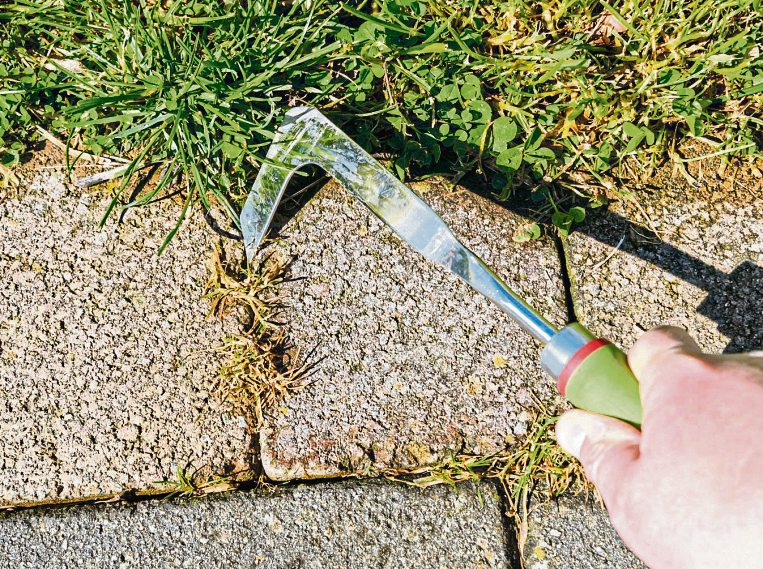 Willkommen Frühling