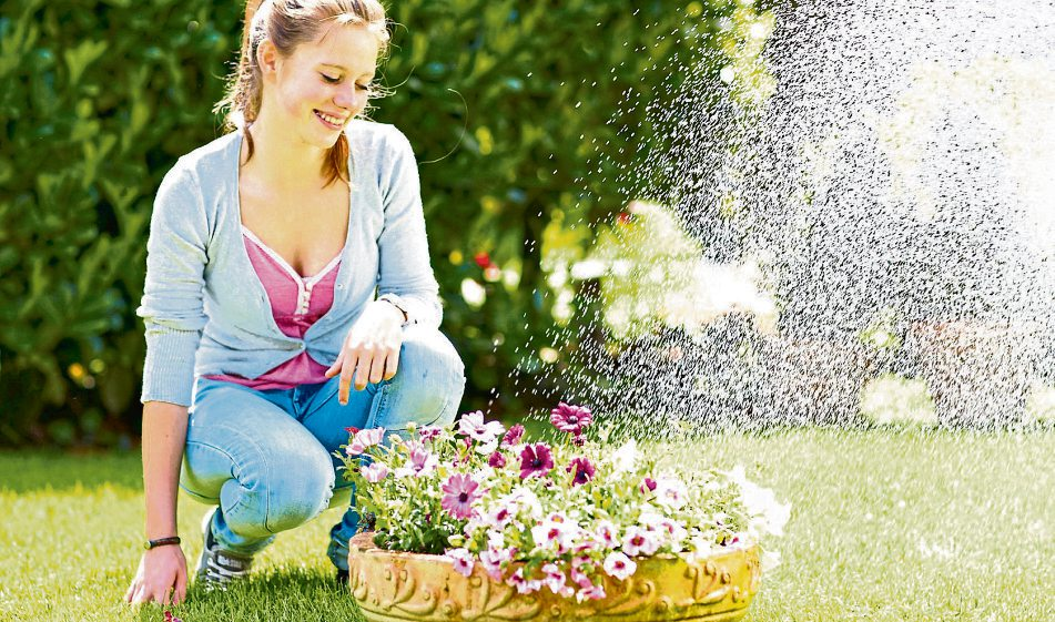 Sommerliche Gartenfreuden