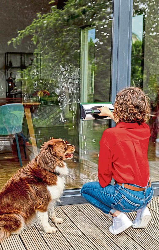 Fenster und Flächen schnell und streifenfrei reinigen