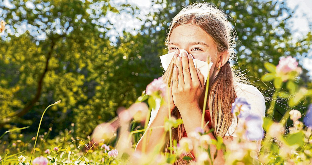 So bleiben Sie trotz Pollenflug beschwerdefrei