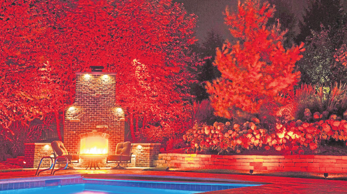 Mit Licht blüht der Garten auf