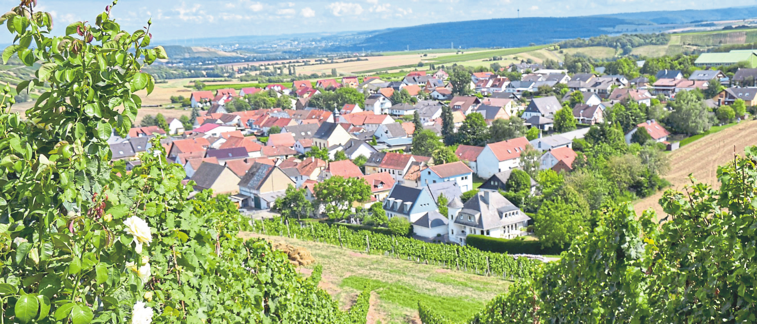 Sommerloch: Weinwandern und kulinarische Leckereien
