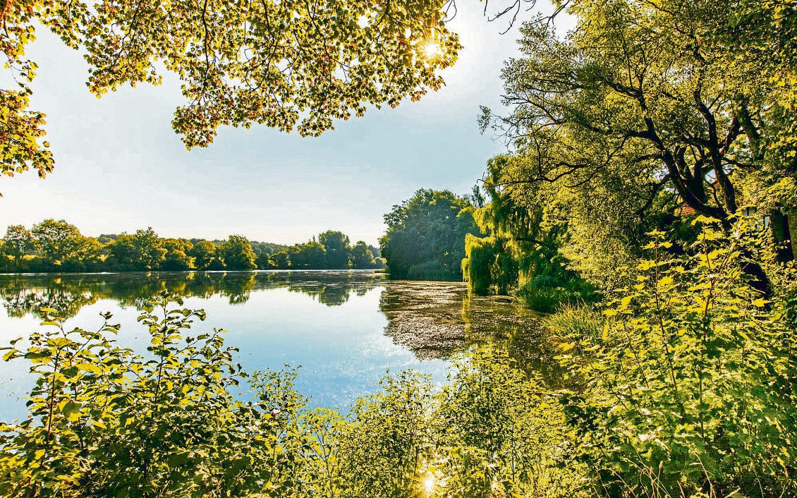 Selters im Westerwald: Mit Herz und Vision