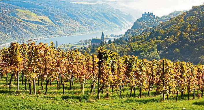 Erfolgsmodell für den ländlichen Raum Rhein-Hunsrück