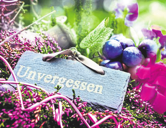  Tag des Friedhofs: Endlich und lebendig