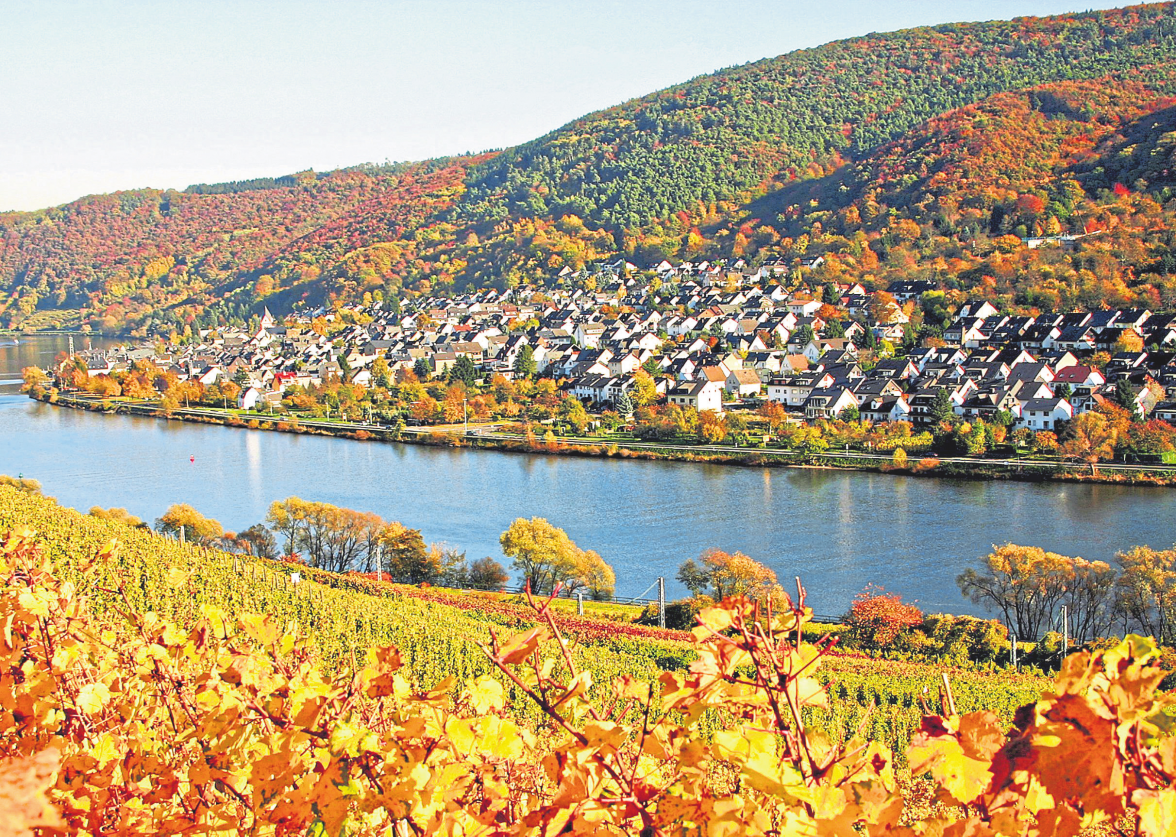 Das Programm zum Koblenzer Weinfest im Moselstadtteil Lay