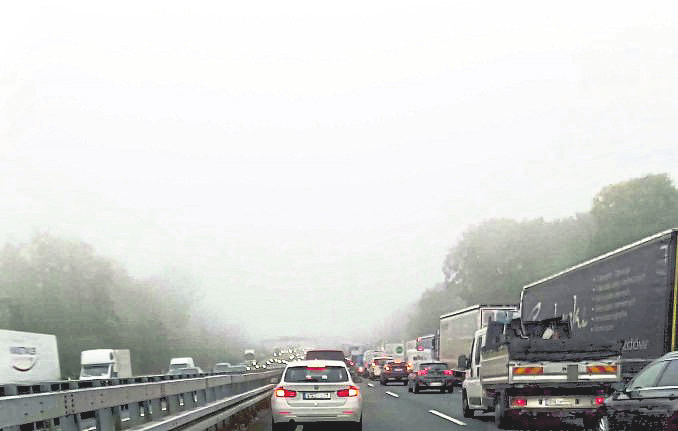 Nebel im Frühherbst