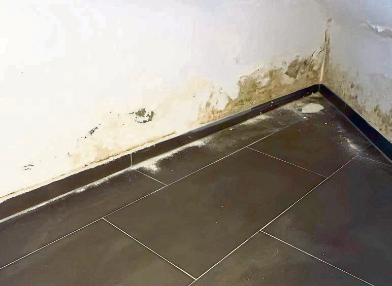 Bauschäden im Fokus