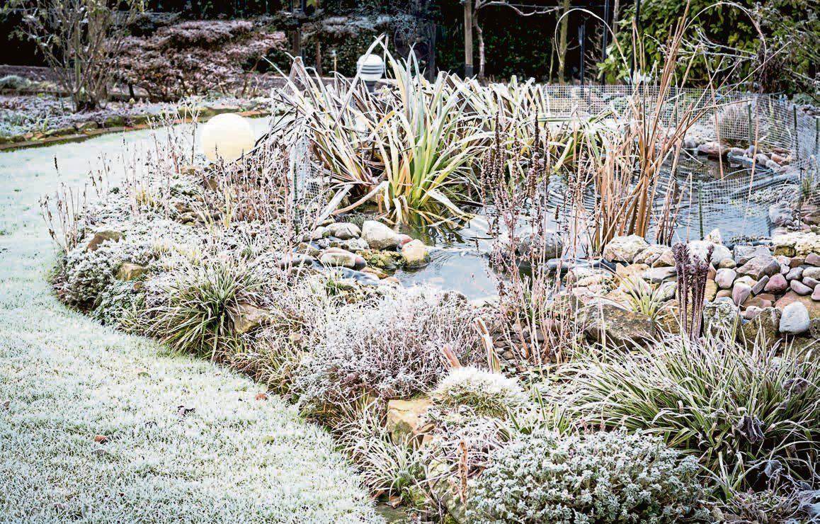 Den Gartenteich im Herbst winterfest machen