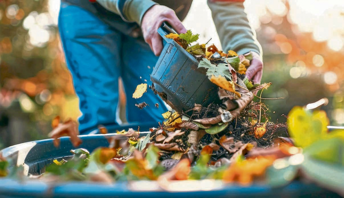 Natürlicher Dünger aus Herbstlaub