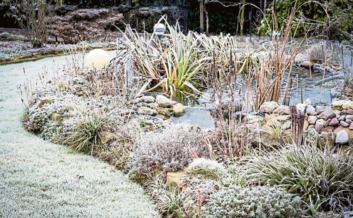 Den Gartenteich im Herbst winterfest machen