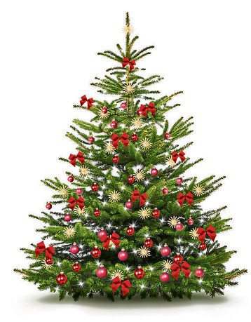 Der Christbaum als Symbol des Weihnachtsfeelings