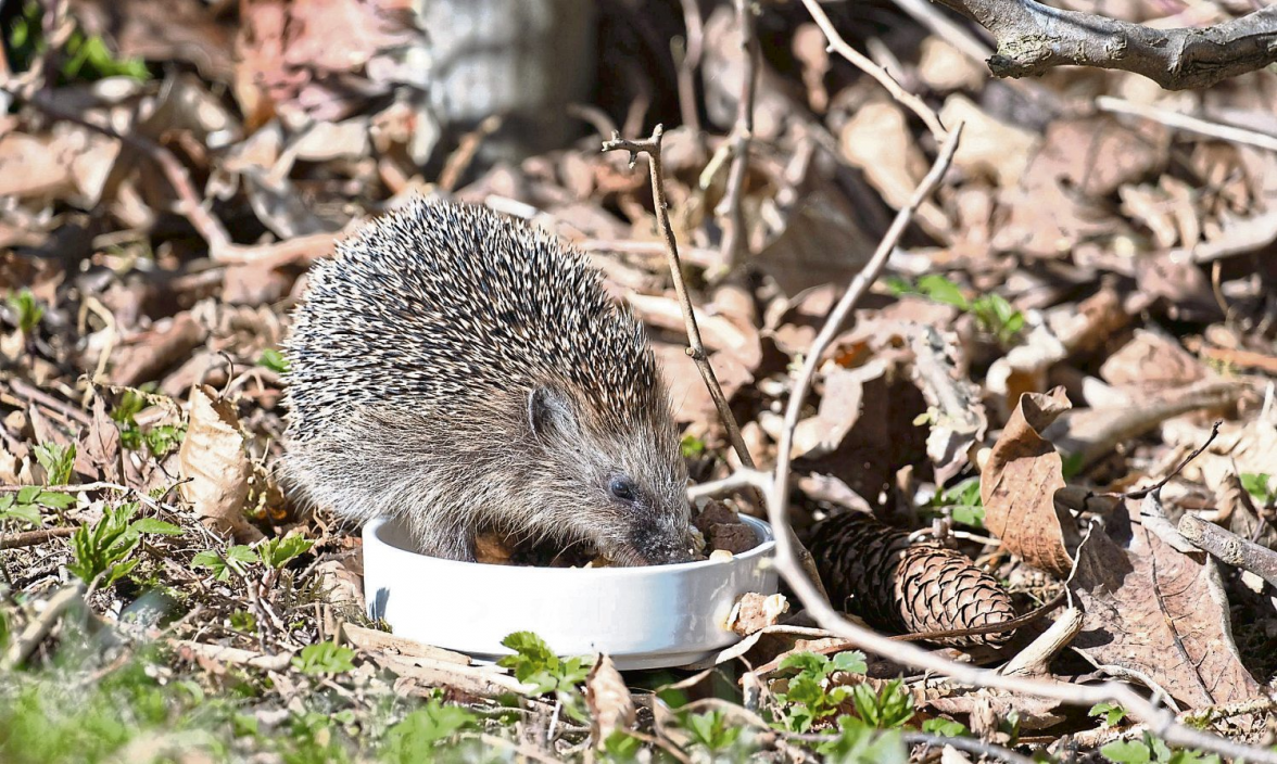 Der Natur auf der Spur