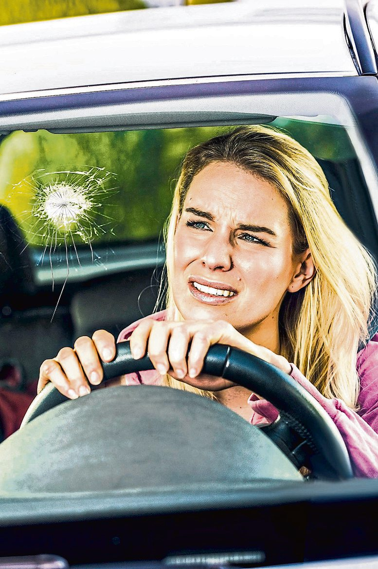 Voller Durchblick für Fahrer und Technik