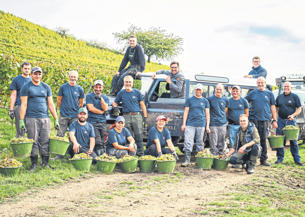 Bad Kreuznach-Bosenheim: Weingut Korrell lädt zur Jahrgangspräsentation ein