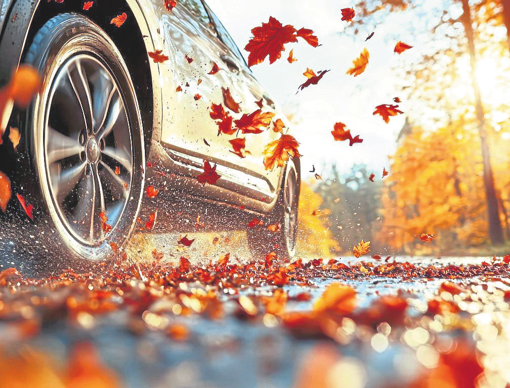 Sicher durch den Herbst