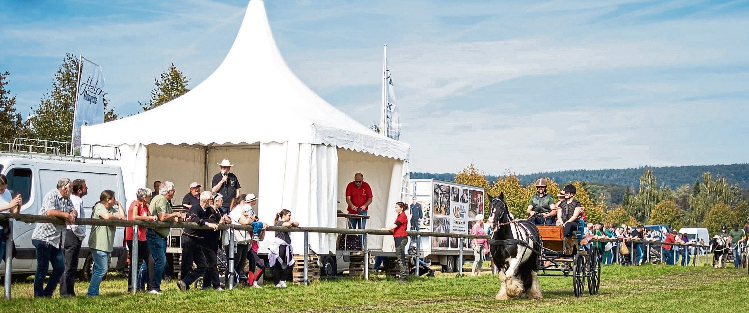 Ein Markt mit besonderem Flair