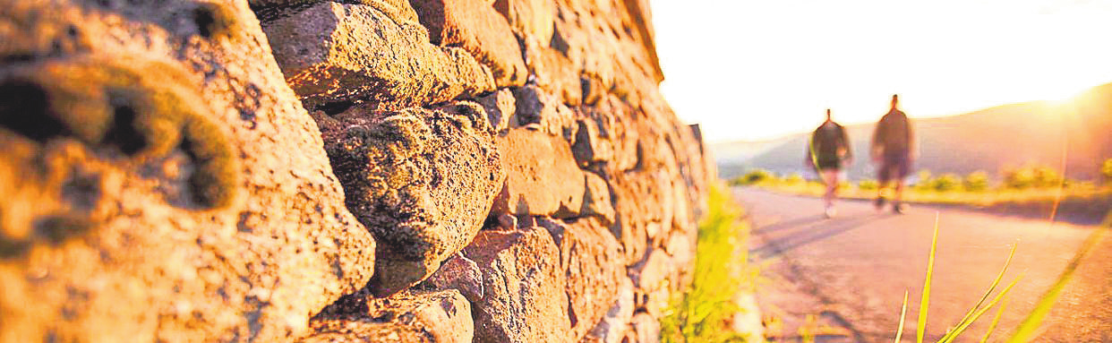 Höfewandern in Bosenheim: Genuss, Wein und Bewegung an der Nahe