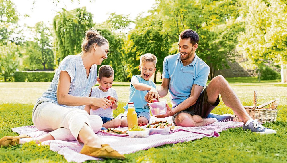 Picknick im Grünen