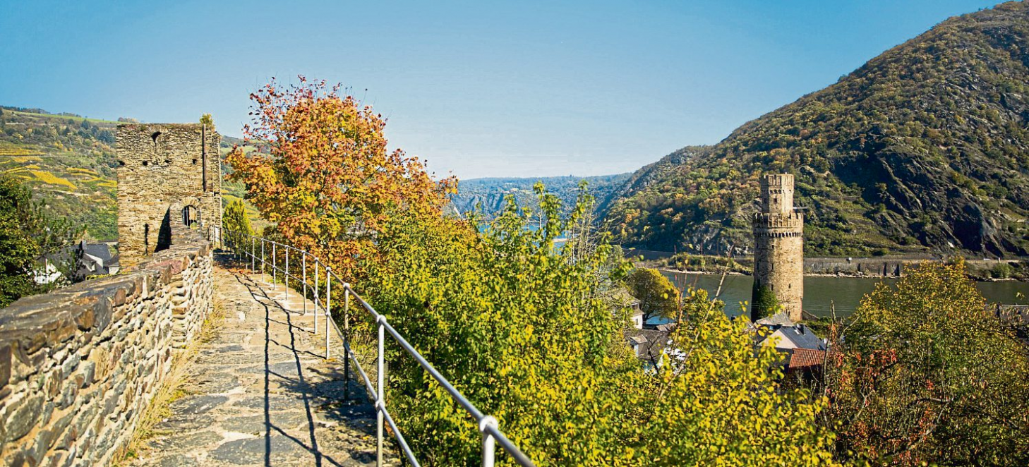 BUGA 2029: Regionales Großprojekt am Mittelrhein