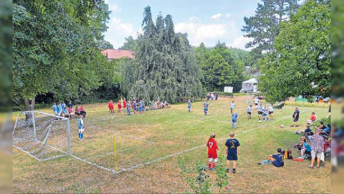 Sommerfest in Ernstweiler: Party-Stimmung im Prinzenpark