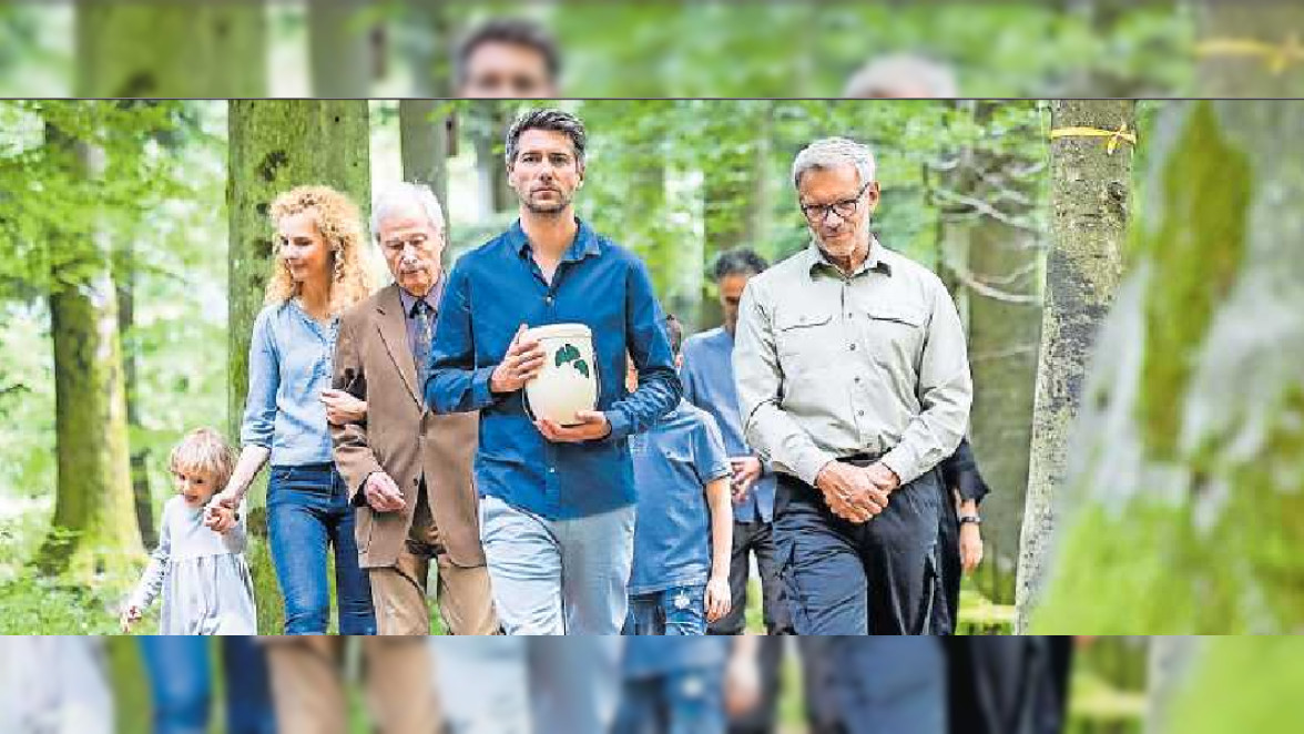 Urnenbegräbnis im Wald: Das muss man zu den Kosten wissen