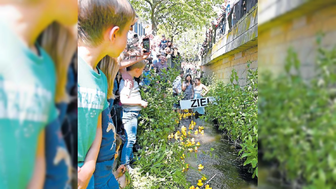 Die Enten sind los beim Stadtfest in Dürkheim
