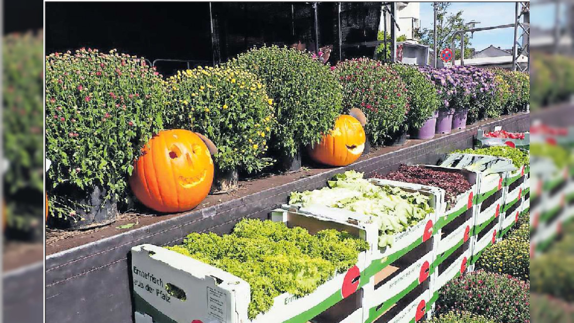 Flaniermeile in Schifferstadt: Obst- und Gemüsetag mit Kräuterwelt