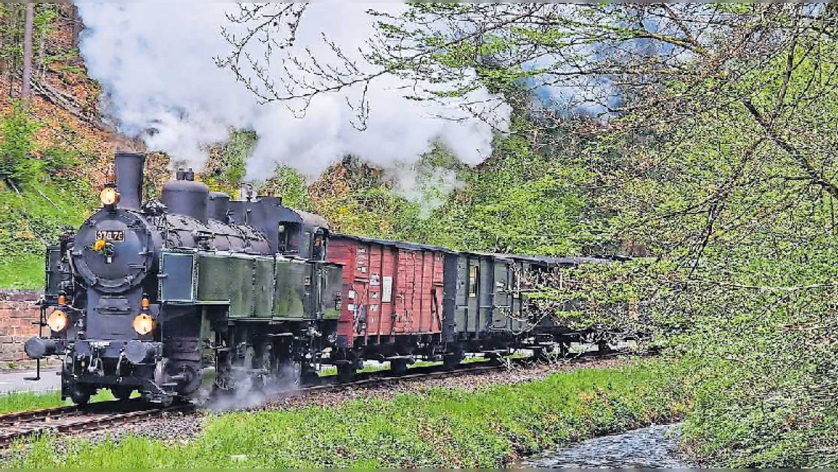 Kuckucksbähnel in Neustadt: Zischend und ratternd durchs Tal